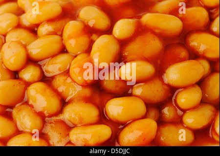 Gebackene Bohnen in Tomatensauce Stockfoto