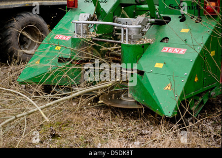 Luckau, Deutschland, Ernte einer Pappel-Plantage in der Nähe der shredder Stockfoto