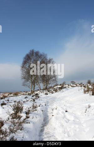 Englische Landschaft im Schnee, Bickerton in Cheshire. Stockfoto