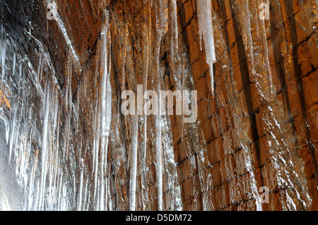 Ashbourne, Derbyshire, UK. 29. März 2013. Frostwetter weiterhin Teile des Derbyshire.Giant greifen, die Eiszapfen im Ashbourne Eisenbahntunnel jetzt Teil des Radwegs Tissington Trail gebildet haben... Bildnachweis: Ian Francis / Alamy Live News Stockfoto