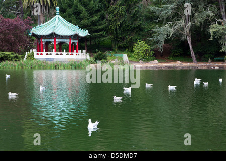 Im Golden Gate Park umgibt Stow Lake Strawberry Hill, eine Insel mit einem Wasserfall. Stockfoto