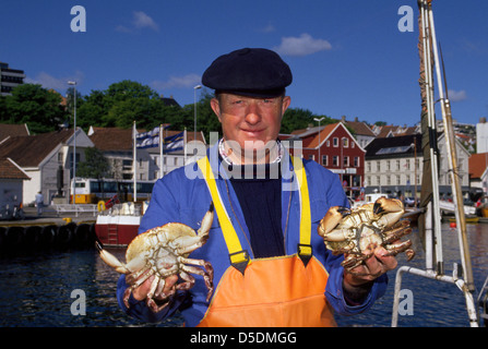 Norwegische Fischer hält zwei von seinen Fang frische essbare Krabben am Hafen in der Nähe des Fischmarktes (Fisketorget) in Stavanger, Norwegen, in Skandinavien. Stockfoto