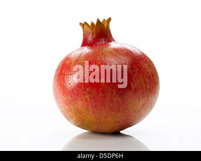 Granatapfel Stockfoto