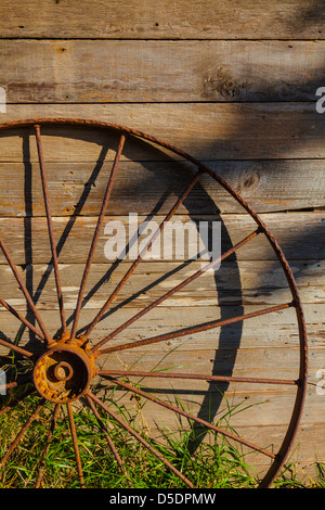 Altes Rad auf Scorpion Ranch auf der Insel Santa Cruz, Channel Islands Nationalpark, Kalifornien, USA. Stockfoto