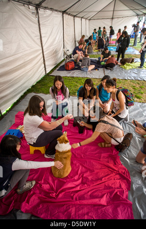 Während der Abschlussprüfung an der University of California in Riverside Studenten melden Sie sich zu entlasten von ausgebildeten Hunden zu kuscheln. Stockfoto