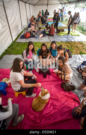 Während der Abschlussprüfung an der University of California in Riverside Studenten melden Sie sich zu entlasten von ausgebildeten Hunden zu kuscheln. Stockfoto