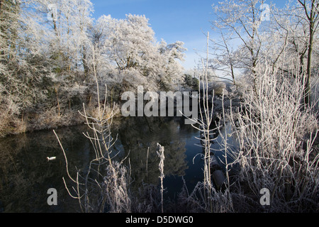 frostigen Dezember morgens Bishops Stortford Herts England Stockfoto