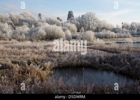 frostigen Dezember morgens Bishops Stortford Herts England Stockfoto