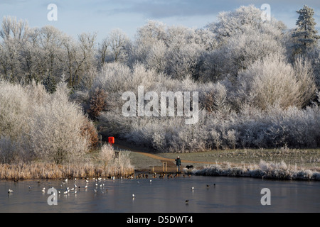 frostigen Dezember morgens Bishops Stortford Herts England Stockfoto