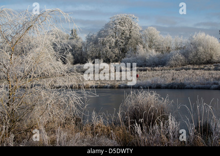 frostigen Dezember morgens Bishops Stortford Herts England Stockfoto