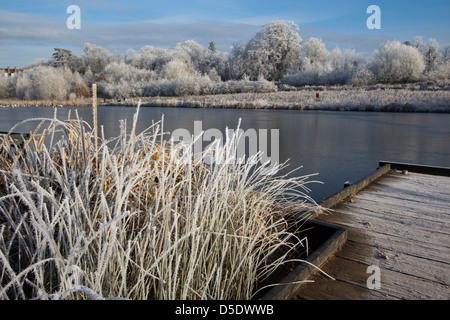 frostigen Dezember morgens Bishops Stortford Herts England Stockfoto