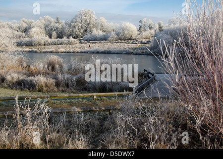 frostigen Dezember morgens Bishops Stortford Herts England Stockfoto