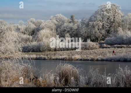 frostigen Dezember morgens Bishops Stortford Herts England Stockfoto