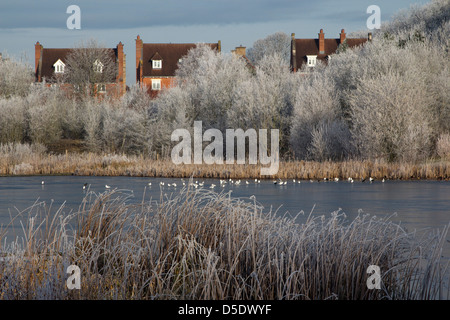 frostigen Dezember morgens Bishops Stortford Herts England Stockfoto