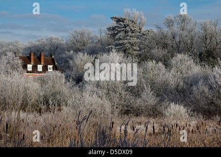 frostigen Dezember morgens Bishops Stortford Herts England Stockfoto