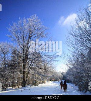 Zwei Frauen fahren entlang in den frischen Schnee auf einem hellen Wintermorgen. Snowchoe, WV Stockfoto