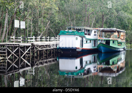 Fluss Boote sekonyer River Provinz Kalimantan  Borneo 