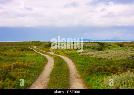 Straße auf der Insel, Meer von Cortez, Baja California, Mexiko Stockfoto