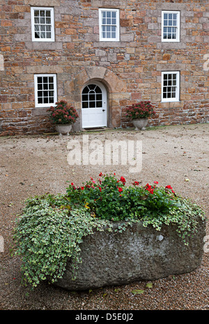 Blumen wachsen in Steintrog außerhalb Landhaus, Jersey, Kanalinseln, UK Stockfoto