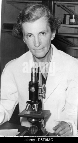 Elizabeth Caroline Crosby (1888-1983), sitzen mit Mikroskop im Labor Stockfoto