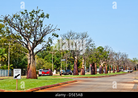 Australien, Western Australia, Derby, Ansicht von Boab besetzt Loch Street Stockfoto