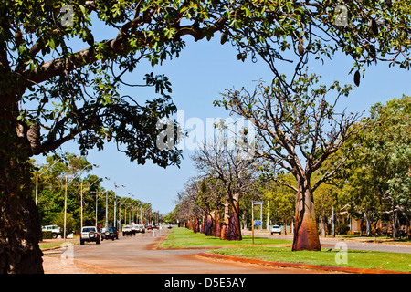 Australien, Western Australia, Derby, Ansicht von Boab besetzt Loch Street Stockfoto