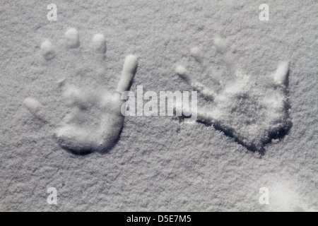 Spur der Hand auf dem Schnee, Kaschmir, Jammu und Kaschmir, Indien Stockfoto