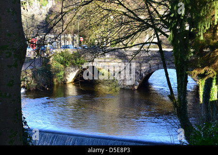 Brücke über den Fluß Tavy, Tavistock, Devon Stockfoto