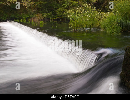 Kleiner Wasserfall befindet sich in einem Fluss von Galicien, Spanien. Stockfoto