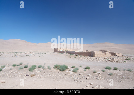 Beduinen-Haus in der syrisch-arabischen Wüste (syrische Wüste), Syrien Stockfoto