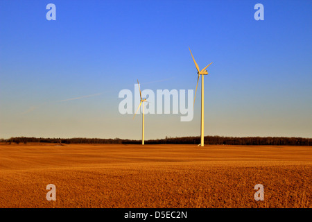 Windkraftanlagen Sie vor blauem Himmel mit Weizen-Felder in den Vordergrund stellen. Ländlichen Michigan. Stockfoto