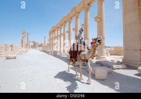 Syrischen Mann reitet auf einem Kamel in der Nähe der Kolonnade in Palmyra, Syrien Stockfoto