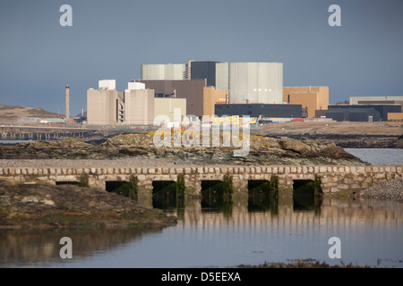 Kernkraftwerk Wylfa in der Nähe von Cemaes Anglesey North Wales UK Stockfoto