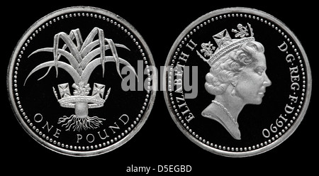 1 Pfund Münze, Queen Elizabeth II, Waliser Lauch, UK, 1990 Stockfoto