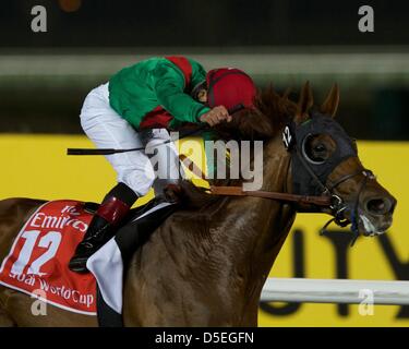 31. März 2013 - geben Dubai, Vereinigte Arabische Emirate - Tierreich mit JOEL ROSARIO Siege der $ 10 Millionen Dubai World Cup in Meydan Racecourse, Amerikaner ihren ersten Sieg in das höchstdotierte Pferderennen der Welt seit 2009. (Kredit-Bild: © Katharine Fay Hunter/Eclipse/ZUMAPRESS.com) Stockfoto