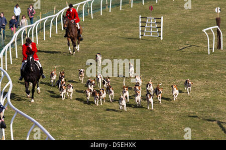 "Kirkby Lonsdale, Lancashire, UK Ostern Samstag, 30. März 2013.  Jäger und Hunde bei den jährlichen Rennen Whittington, Veranstaltung in Low-Hall in der Nähe von Kirkby Lonsdale Herzen des Lune Valley. Der Kurs für die Vale von Lune Harriers Jagd und Jagd Holcombe Harriers, die vorgestellten Pony racing und sieben Punkt-zu-Punkt-Rennen." Stockfoto