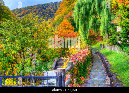 saisonale Herbstlaub in Jozankei, Japan. Stockfoto