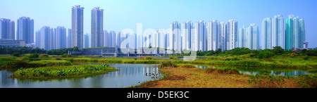 Hochhaus-Wohnungen über Wetland Park in Hong Kong, China. Stockfoto