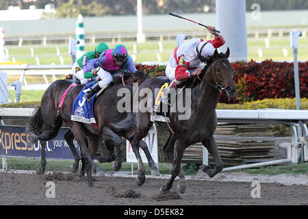 Hallandale Beach, Florida, USA. 30. März 2013 Orb mit John Velazquez Siege Florida Derby (G1) im Gulfstream Park, Hallandale Beach Florida. 30.03.2013 (Bild Kredit: Kredit: Liz Lamont/Eclipse/ZUMAPRESS.com/Alamy Live-Nachrichten) Stockfoto