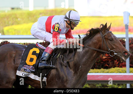 Hallandale Beach, Florida, USA. 30. März 2013 Orb mit John Velazquez Siege Florida Derby (G1) im Gulfstream Park, Hallandale Beach Florida. 30.03.2013 (Bild Kredit: Kredit: Liz Lamont/Eclipse/ZUMAPRESS.com/Alamy Live-Nachrichten) Stockfoto