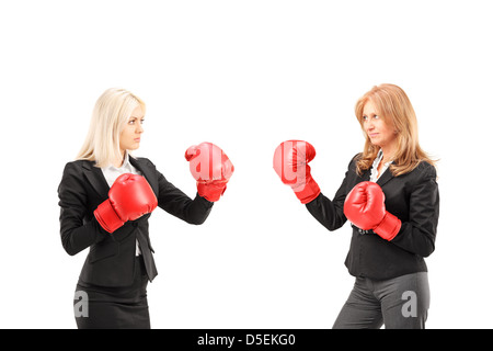 Unternehmerinnen mit Boxhandschuhen, die einen Kampf gegen den weißen Hintergrund isoliert Stockfoto