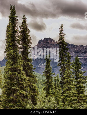 27. Juni 2012 - Denali Borough, Alaska, Fichte US - hoch aufragenden Bäume von den borealen Wald Rahmen die schroffen Gipfeln der majestätischen Berge der Alaska Range in dieser Ansicht aus der Teklanika River Overlook von 6 Millionen Hektar (24, 500Â km) spektakulär malerische Denali Nationalpark & vorbehalten. (Kredit-Bild: © Arnold Drapkin/ZUMAPRESS.com) Stockfoto