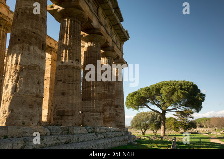 Graeco-Römischen Tempel in Paestum, Campagna, Italien. Stockfoto