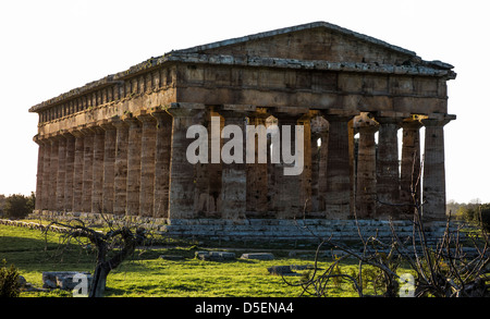 Graeco-Römischen Tempel in Paestum, Campagna, Italien. Stockfoto