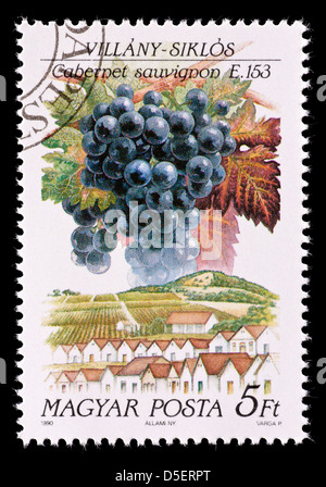 Briefmarke aus Ungarn mit Cabernet-Sauvignon-Trauben aus Villany-Siklos Anbaugebiet. Stockfoto
