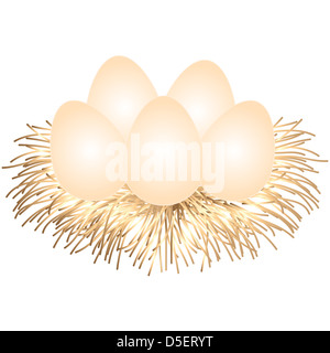 Nest mit Eiern isoliert auf weißem Hintergrund Stockfoto