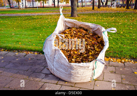 große weiße Säckchen mit Herbst Blätter im Stadtpark Stockfoto