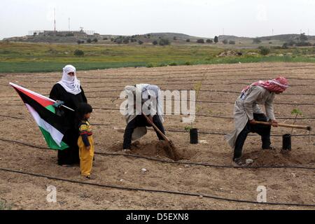 Beit Hanun, Gazastreifen, Palästinensische Gebiete. 31. März 2013. Palästinenser verkleidet als Bauern Bäume zu Pflanzen, da sie an einer Kundgebung anlässlich Tag des Bodens in Beit Hanun im nördlichen Gazastreifen nahe der Grenze mit Israel am 31. März 2013 teilnehmen. Die jährlichen Demonstrationen markieren den Tod von sechs arabische israelische Demonstranten in den Händen der israelischen Polizei und Truppen während der Massenproteste in 1976 gegen Pläne, arabisches Land in der nördlichen Region Galiläa zu beschlagnahmen (Credit-Bild: © Ashraf Amra/APA Images/ZUMAPRESS.com) Stockfoto