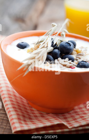 Joghurt mit frischen Heidelbeeren und Früchte-Müsli Stockfoto