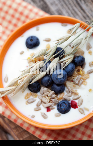 Joghurt mit frischen Heidelbeeren und Früchte-Müsli Stockfoto